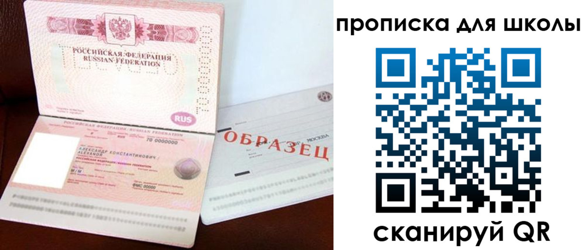 прописка для школы в Камешково